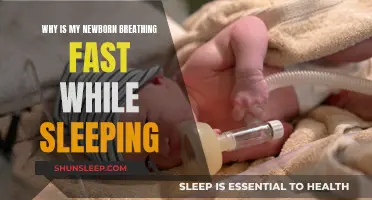 Newborn's Rapid Sleep Breathing: What Parents Should Know