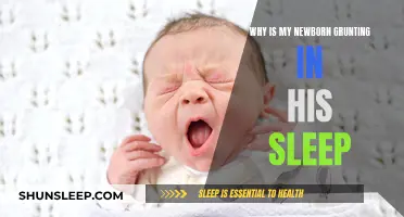 Newborn Grunting in Sleep: What Parents Should Know