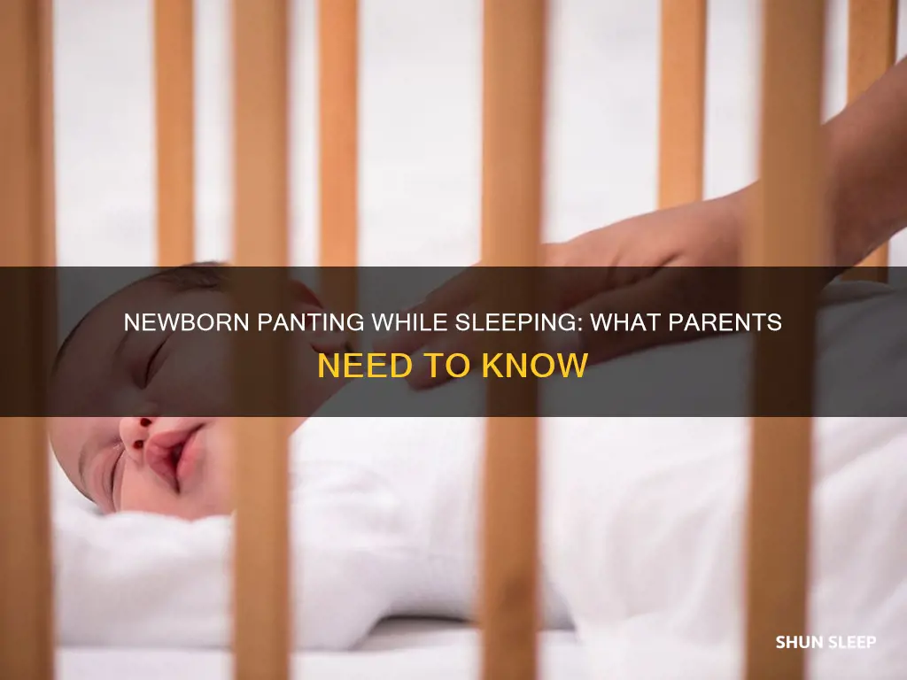why is my newborn panting while sleeping