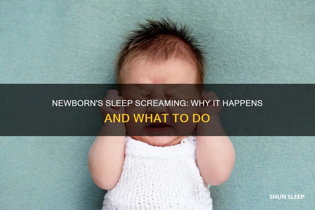 why is my newborn screaming in his sleep
