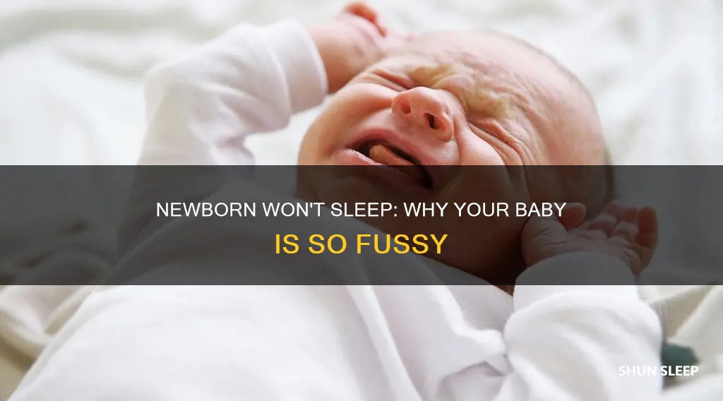 why is my newborn so fussy and won