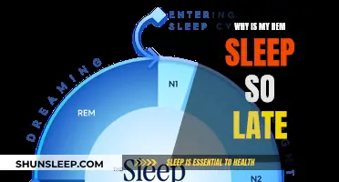 REM Sleep: Why Does It Always Arrive Late?