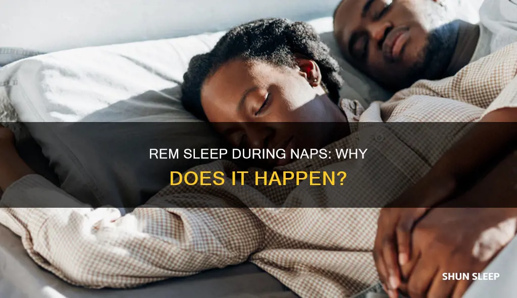 why is my rem sleep when i nap