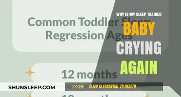 Sleep Trained Baby Crying Again? Understanding Sudden Sleep Regressions
