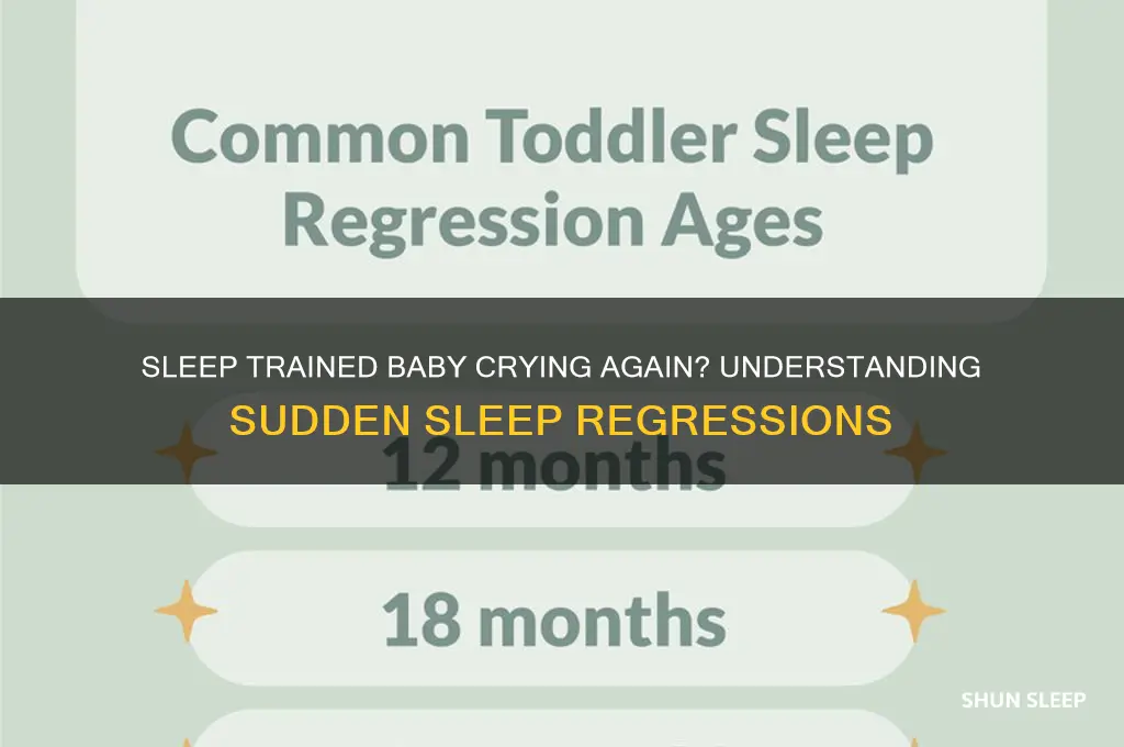 why is my sleep trained baby crying again