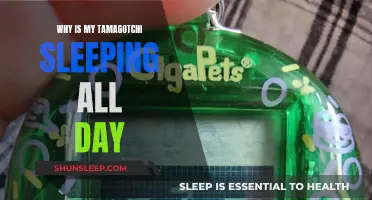 Troubleshooting Your Tamagotchi's Sleep Patterns