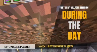 Villagers' Sleep Patterns: Unraveling the Daytime Slumber Mystery