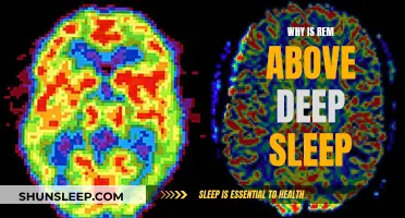 REM Sleep: More Beneficial Than Deep Sleep?