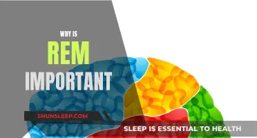 Understanding REM Sleep: Vital for Brain Function