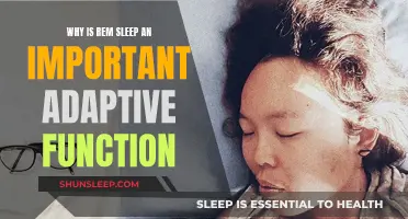 REM Sleep: Unlocking the Brain's Adaptive Functions