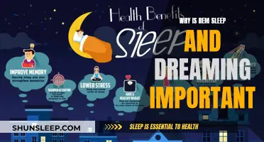 Understanding REM Sleep: The Importance of Dreaming