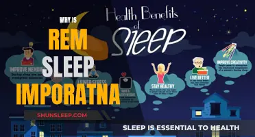 Understanding REM Sleep: Its Vital Role and Importance