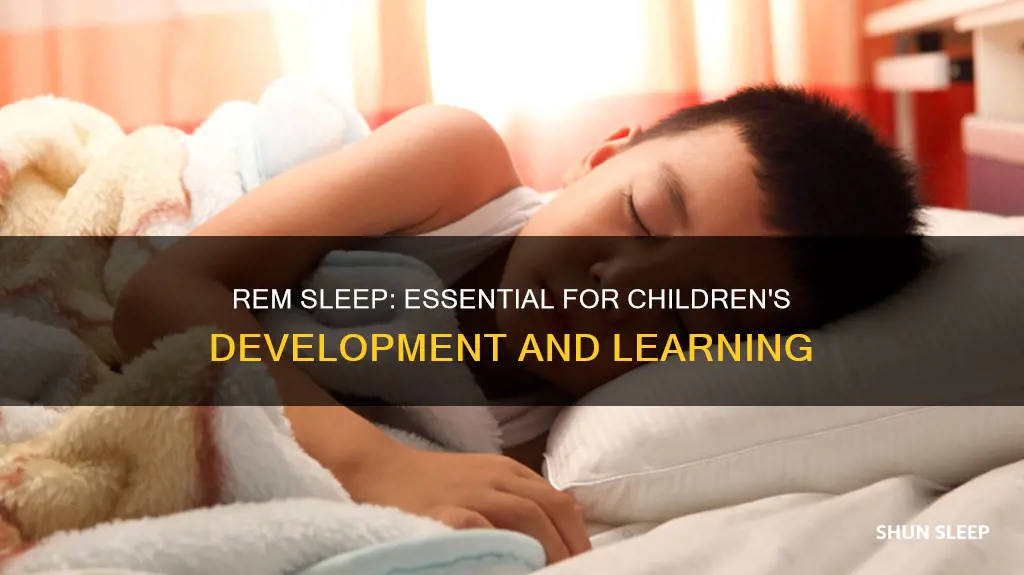 why is rem sleep important for children