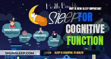 Understanding REM Sleep's Role in Cognitive Function