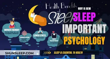 Understanding REM Sleep: Its Importance in Psychology