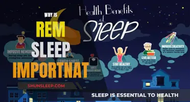 Understanding REM Sleep: Its Vital Importance and Benefits