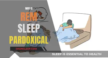 REM Sleep: A Paradox of Brain Activity and Inactivity