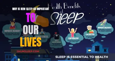 REM Sleep: Vital to Our Wellbeing and Daily Functioning