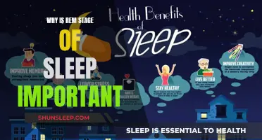 Understanding the REM Sleep Stage: Its Vital Importance and Functions