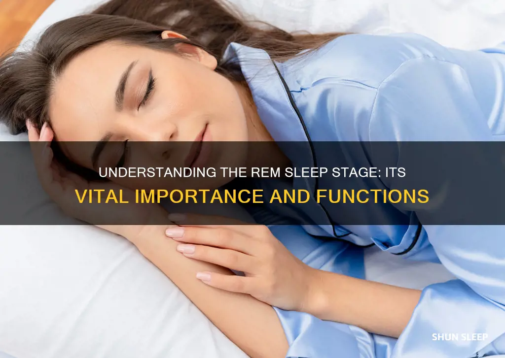 why is rem stage of sleep important