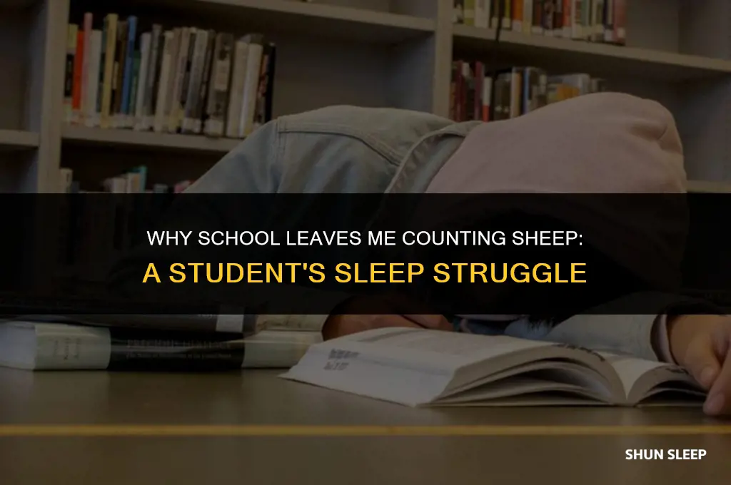 why is school make me sleep 4 hours