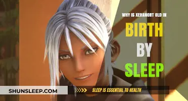 Xehanort's Age: Unraveling the Mystery in Birth by Sleep