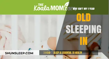 How to Get Your Toddler to Sleep In