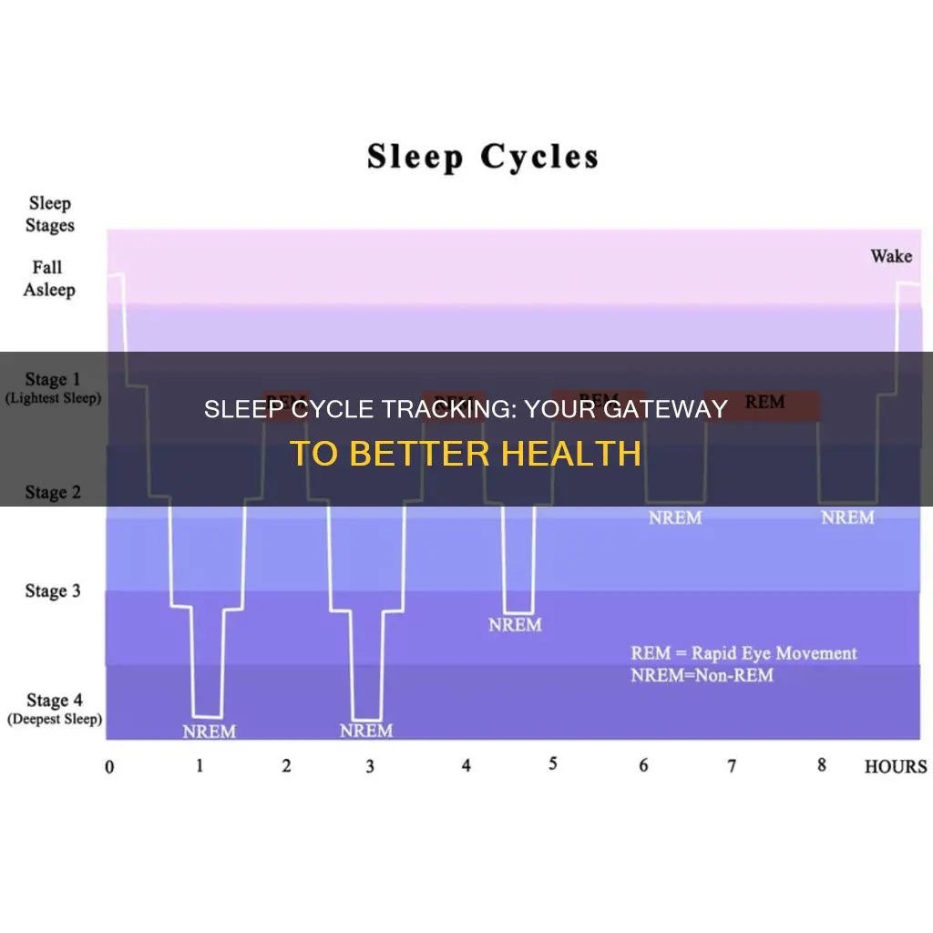 why keeping track of your sleep cycle benefits you