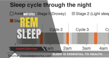 Little REM Sleep: A Big Problem?