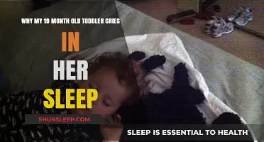 Toddler's Sleep: Why Do They Cry in Their Sleep?
