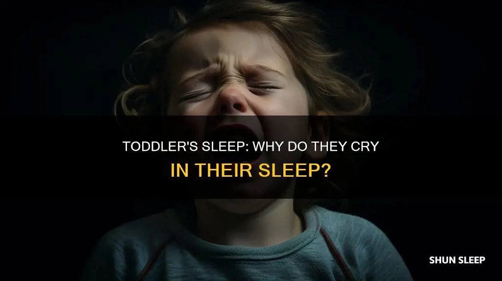 why my 19 month old toddler cries in her sleep