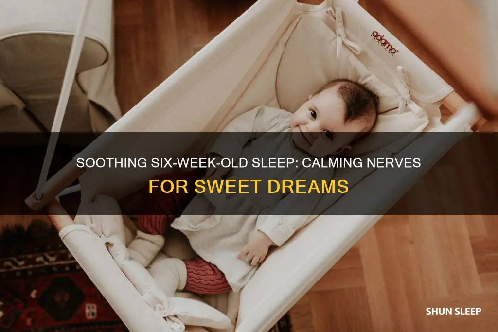 why my 6 weeks old seems nervouse while sleeping alone