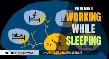 Brain Activity: Sleeping but Thinking