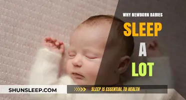 Understanding Newborn Sleep Patterns: Why Babies Sleep So Much