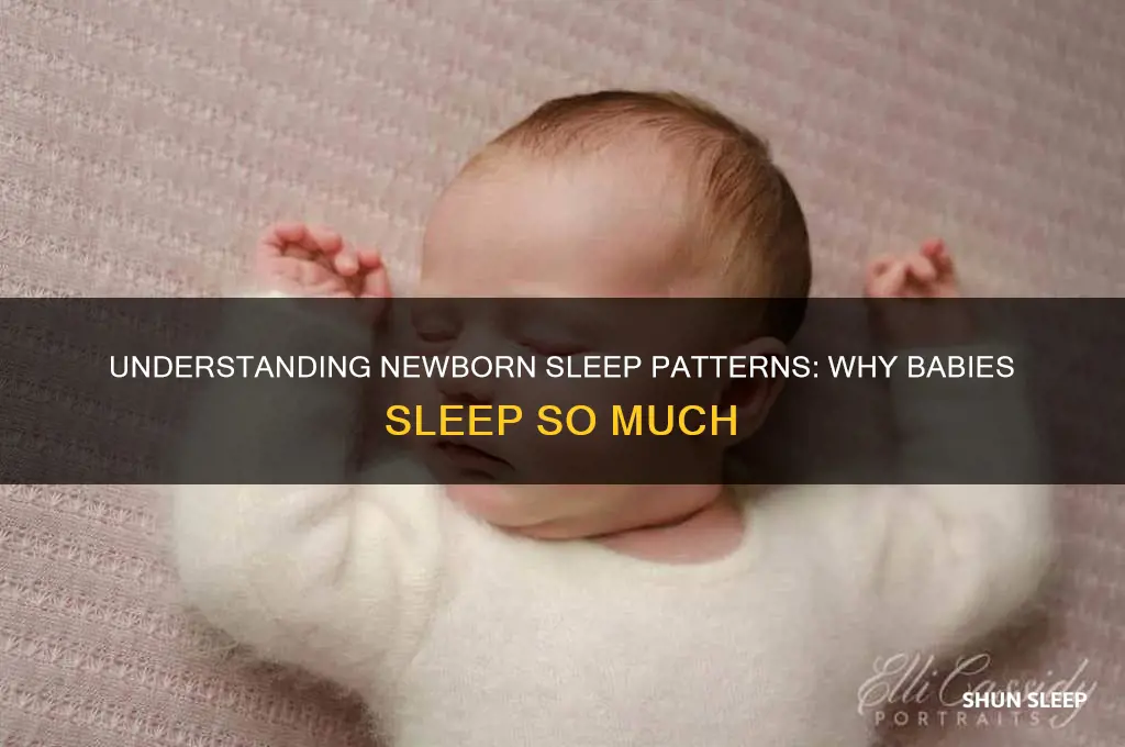 why newborn babies sleep a lot