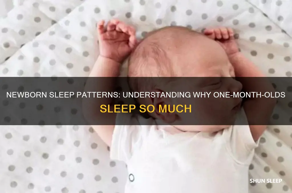 why one month baby sleeping a lot
