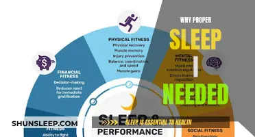 Sleep: The Foundation of a Healthy, Productive Life