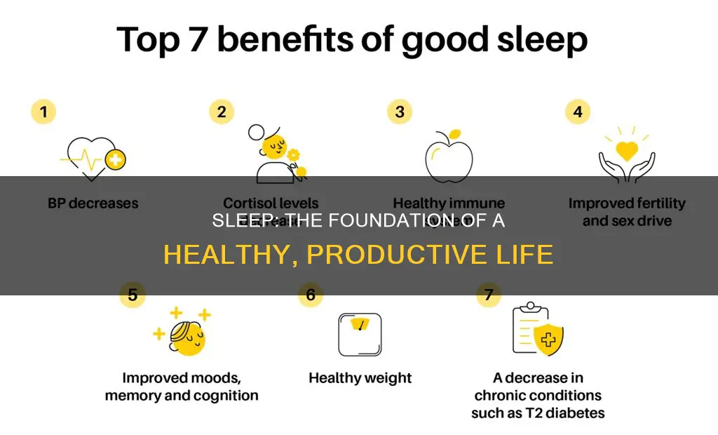 why proper sleep i needed