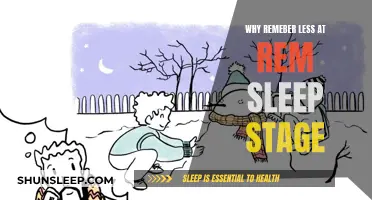 REM Sleep: Forgetting at the Final Stage