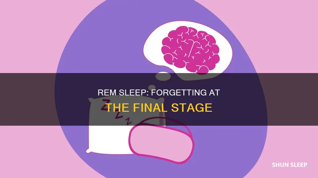 why remeber less at rem sleep stage