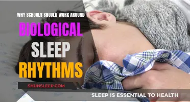 Schools: Embrace Natural Sleep Rhythms for Student Success