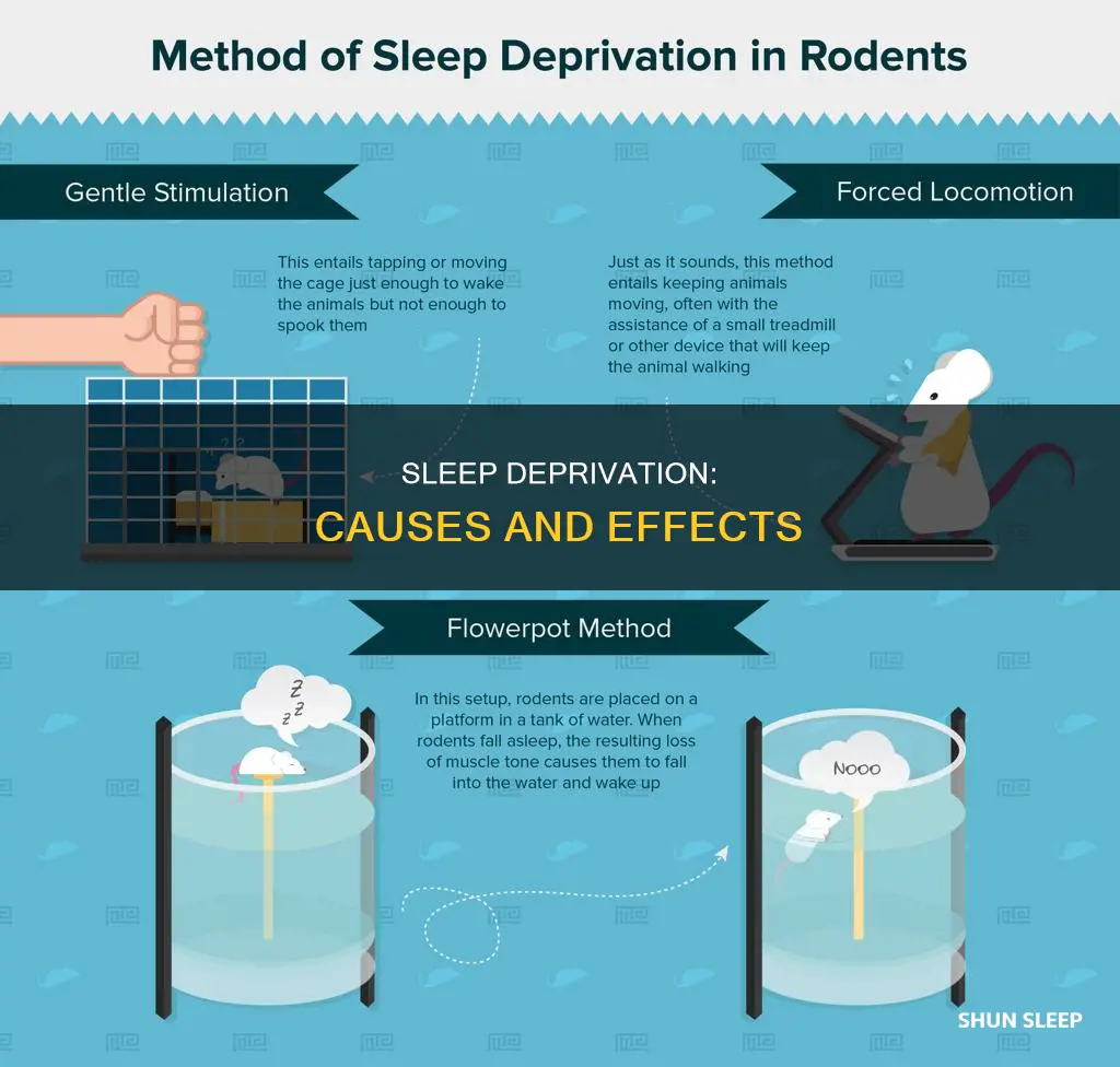 why sleep deprivation happens