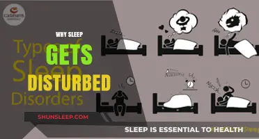 Unraveling the Causes of Sleep Disruption: Factors Affecting Restful Nights