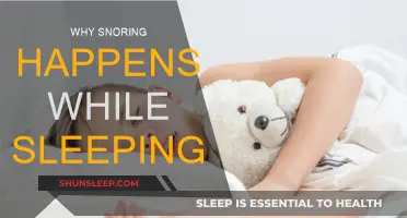 Snoring and Sleep: Why It Happens and How to Stop It