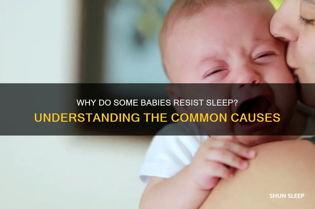 why some babies fight sleep