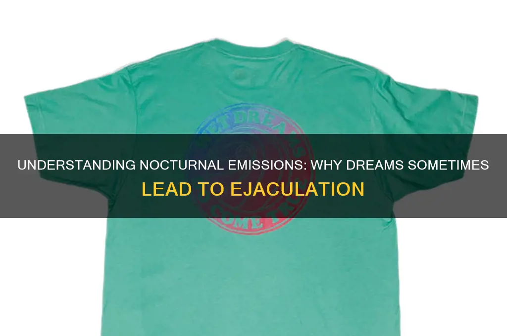 why sometime i get ejeclation whe im dream sleep