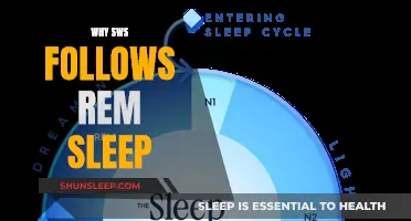 Understanding the Link Between SWS and REM Sleep