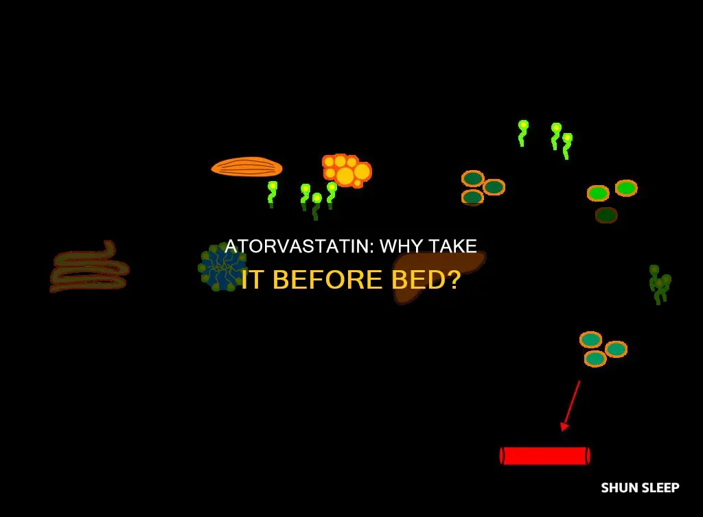 why take atorvastatin before sleep