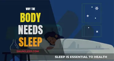 Sleep: The Body's Essential Recharge for Optimal Functioning