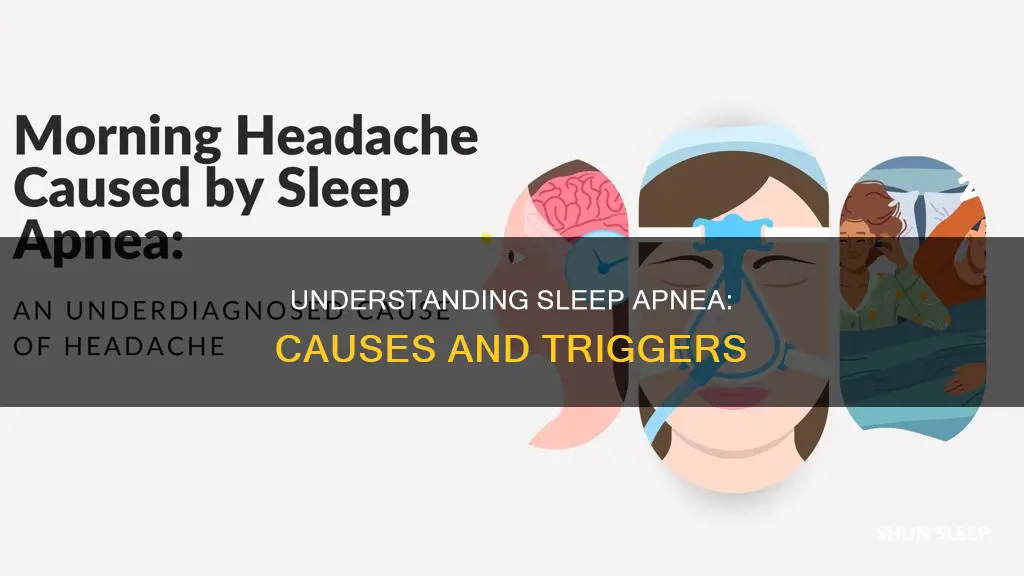why the sleep apnia happens